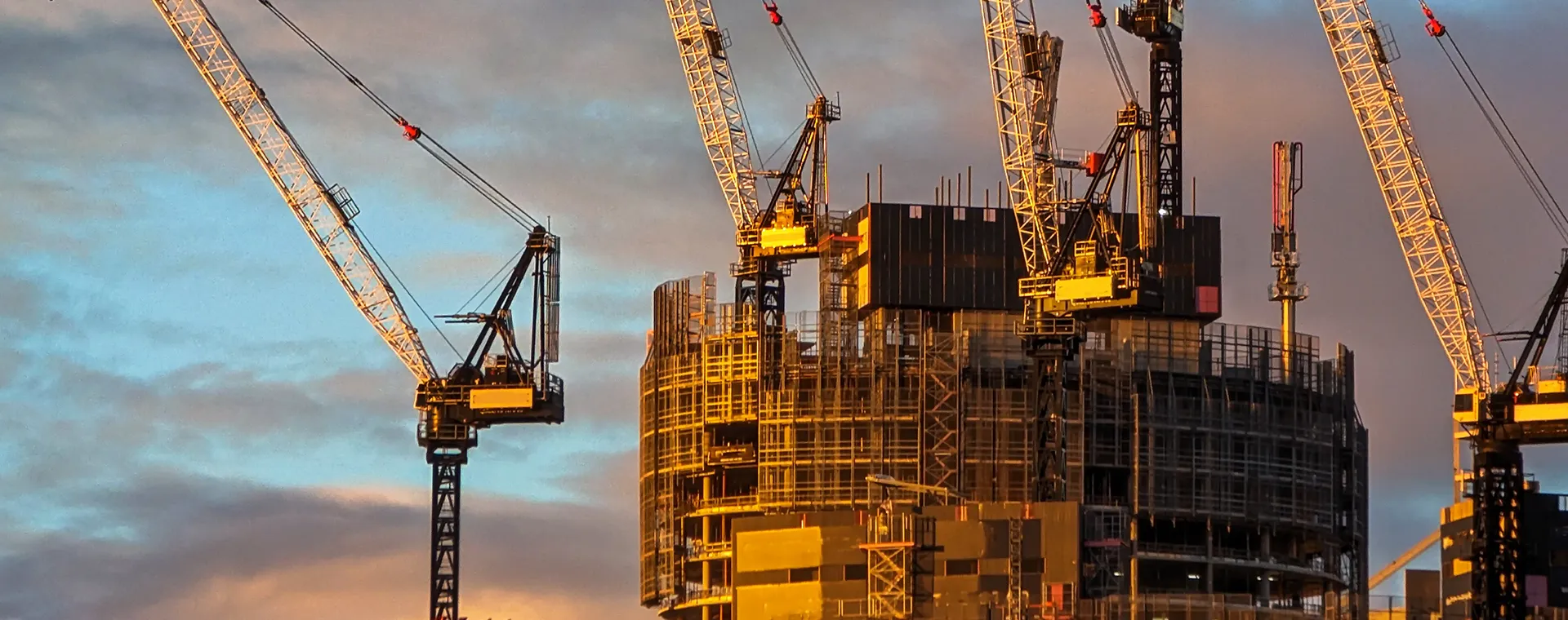 Multiple cranes in a construction site at Queen's Wharf PDA
