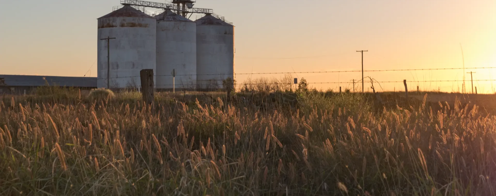 Silos on farmland